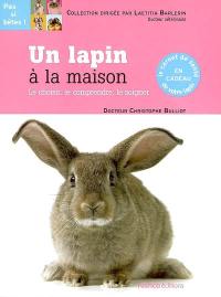 Un lapin à la maison : le choisir, le comprendre, le soigner