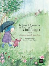 Le livre à compter de Balthazar : à la poursuite du lapin brun