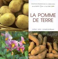 La pomme de terre : culture, soins, conseils pratiques