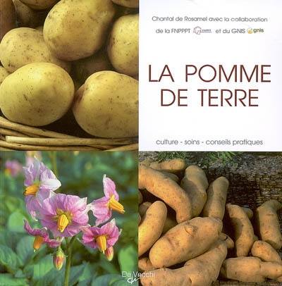 La pomme de terre : culture, soins, conseils pratiques