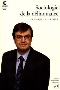 Sociologie de la délinquance