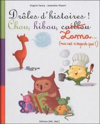 Drôles d'histoires ! : chou, hibou, lama ... : (mais c'est n'importe quoi !)