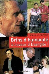 Brins d'humanité... à saveur d'Evangile ! : réflexions, méditations, poèmes et prières d'un prêtre en paroisse