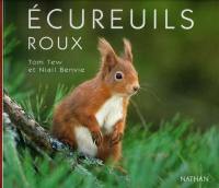 Ecureuils roux