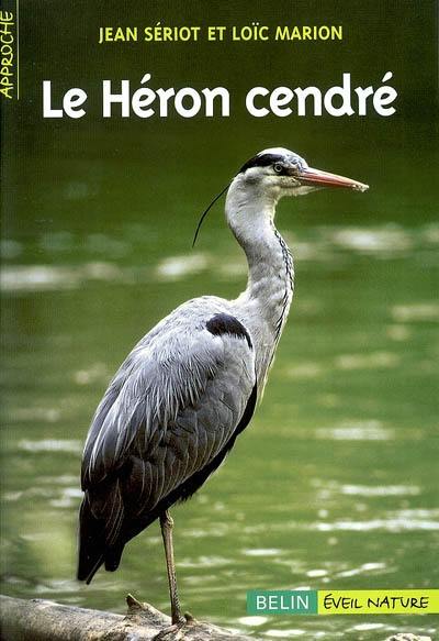 Le héron cendré