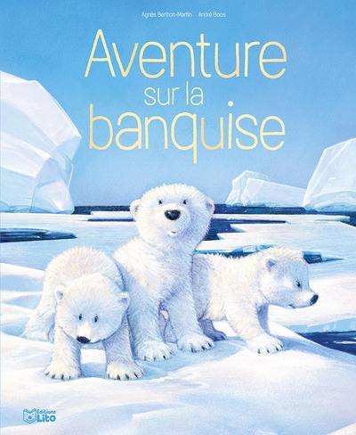 Aventure sur la banquise