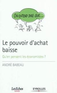 Le pouvoir d'achat baisse : qu'en pensent les économistes ?