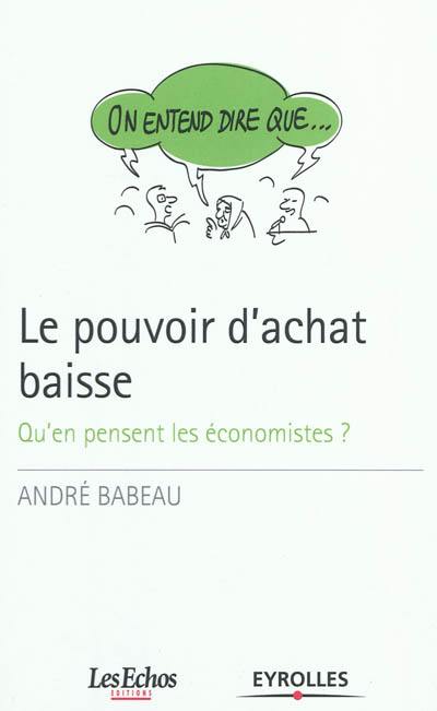 Le pouvoir d'achat baisse : qu'en pensent les économistes ?