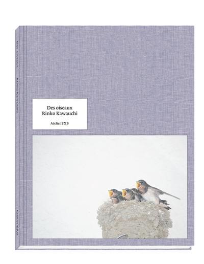 Des oiseaux