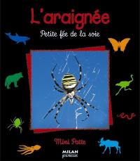 L'araignée : petite fée de la soie