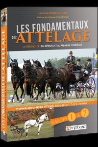 Les fondamentaux de l'attelage : galops 1 à 7, du débutant au meneur confirmé