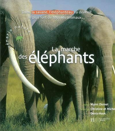 La marche des éléphants : dans la savane, l'éléphanteau va devenir le plus fort de tout les animaux...