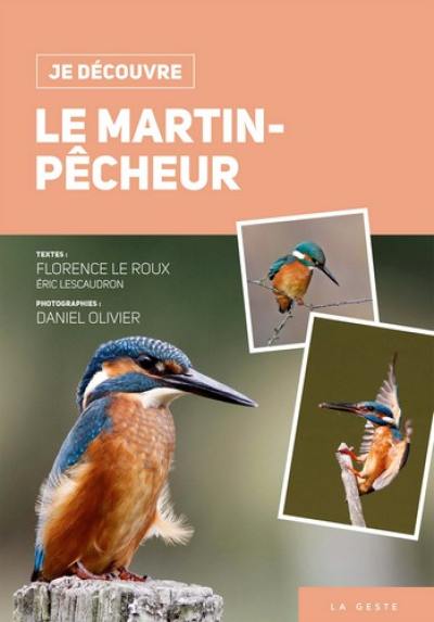 Le martin-pêcheur