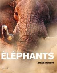 Eléphants