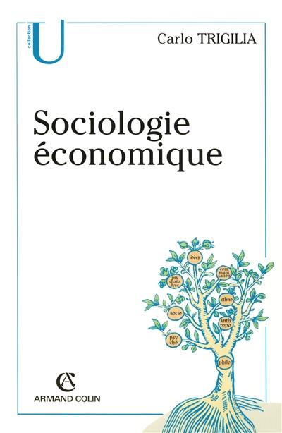 Sociologie économique : Etat, marché et société dans le capitalisme moderne