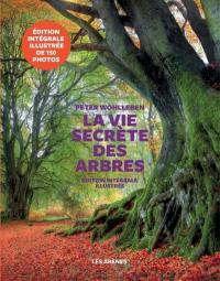 La vie secrète des arbres : ce qu'ils ressentent, comment ils communiquent : un monde inconnu s'ouvre à nous