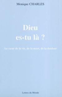 Dieu es-tu là ? : au coeur de la vie, de la mort, de la douleur