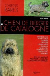 Le chien de berger de Catalogne