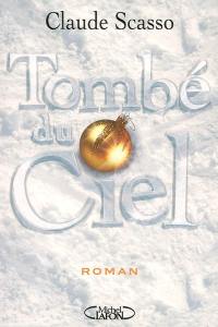 Tombé du ciel : roman