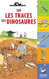 Sur les traces des dinosaures