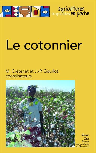 Le cotonnier