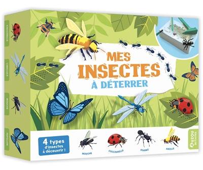 Mes insectes à déterrer