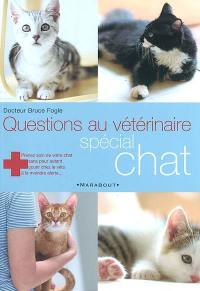 Questions au vétérinaire : spécial chat