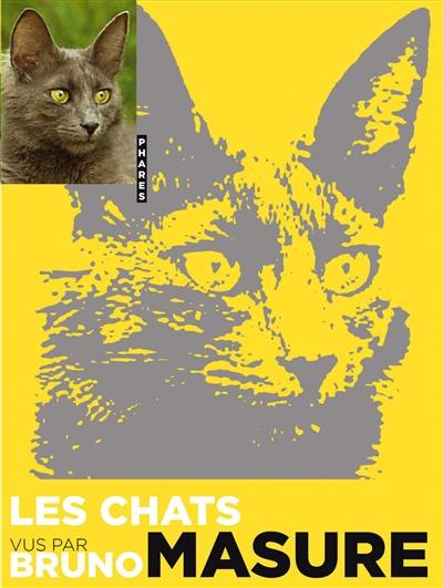 Les chats vus par Bruno Masure