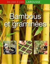 Bambous et graminées