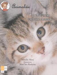 Animalvie. Un chat soeur sachant chasser