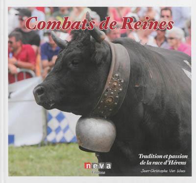 Combats de reines : tradition et passion de la race d'Hérens