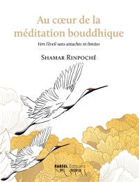 Au coeur de la méditation bouddhique : vers l'éveil sans attaches ni limites