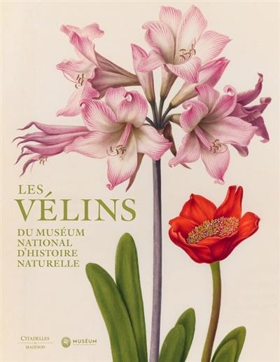 Les vélins du Muséum national d'histoire naturelle