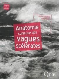 Anatomie curieuse des vagues scélérates