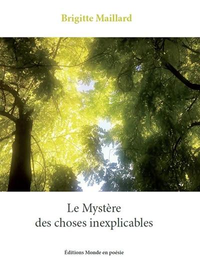 Le mystère des choses inexplicables