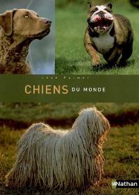 Chiens du monde