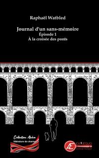 Journal d'un sans-mémoire. Vol. 1. A la croisée des ponts