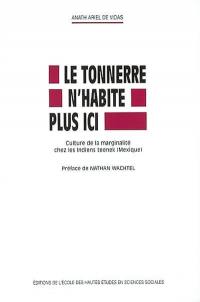 Le tonnerre n'habite plus ici : culture de la marginalité chez les Indiens Teenek (Mexique)