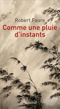 Comme une pluie d'instants... : une traversée du temps