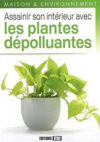 Assainir son intérieur avec les plantes dépolluantes