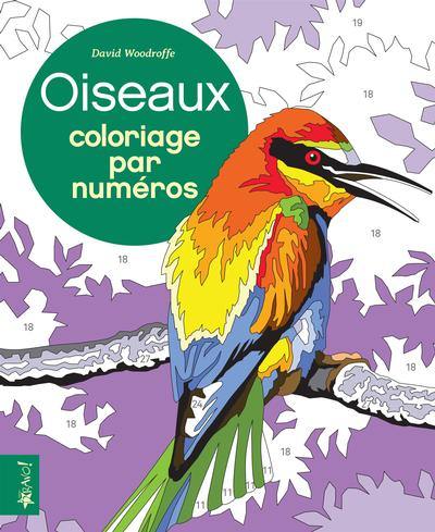 Coloriage par numéros : Oiseaux