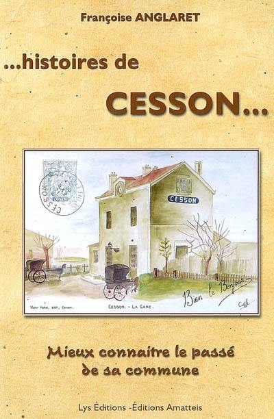 Histoires de Cesson... : mieux connaître le passé de sa commune