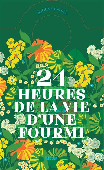 24 heures de la vie d'une fourmi