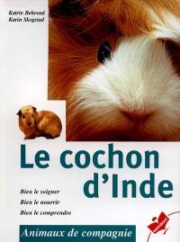 Le cochon d'Inde