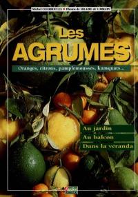 Les agrumes