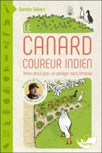 Le canard coureur indien : votre atout pour un potager sans limaces