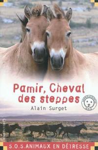 Pamir, cheval des steppes