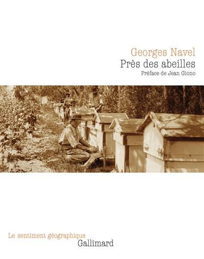 Près des abeilles