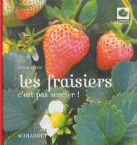 Les fraisiers : c'est pas sorcier !