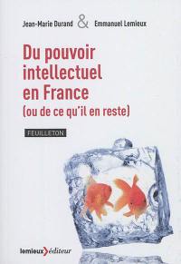 Du pouvoir intellectuel en France (ou de ce qu'il en reste) : feuilleton